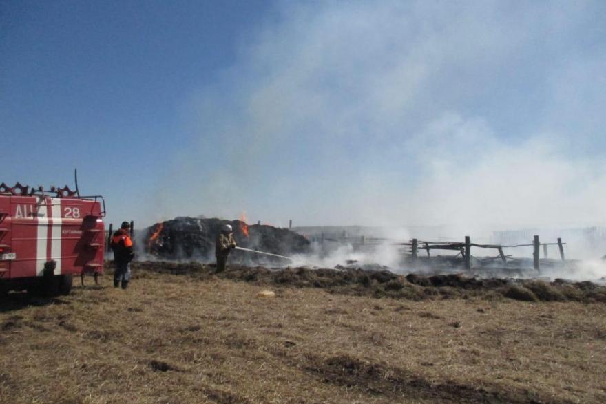 Подростки едва не сожгли деревню в Зауралье