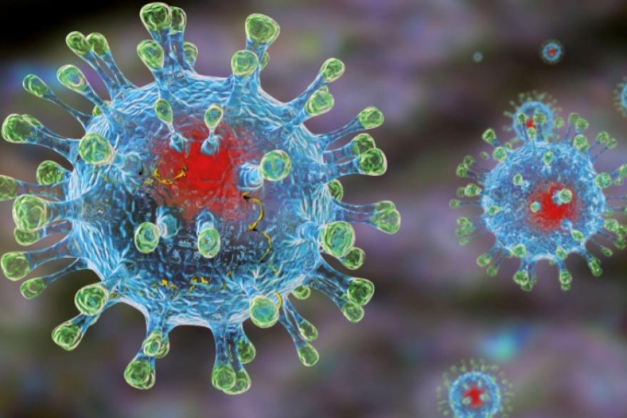 Ученые обнаружили антитела, которые защищают от коронавируса