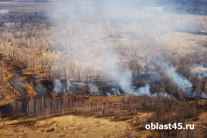 Житель Курганской области резал трубы и поджёг лес 