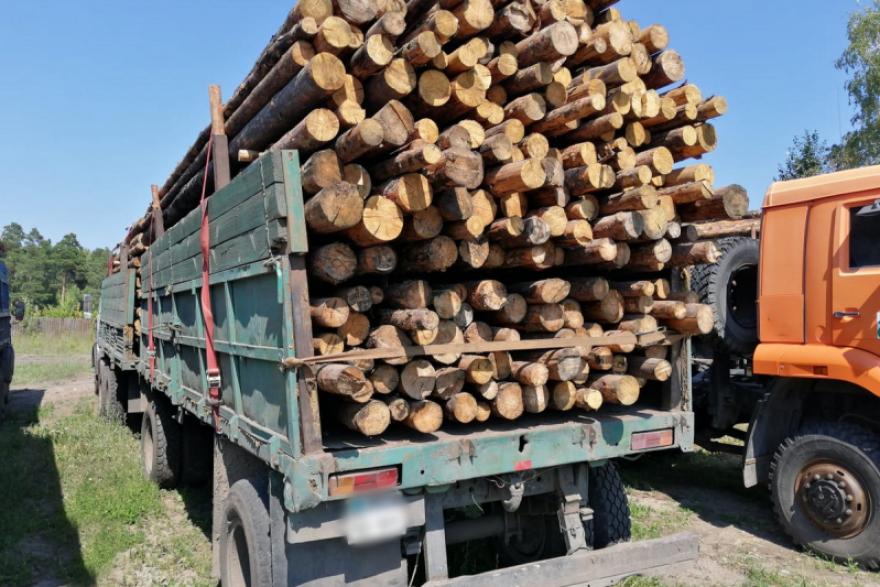 Из Курганской области незаконно пытались вывезти древесину