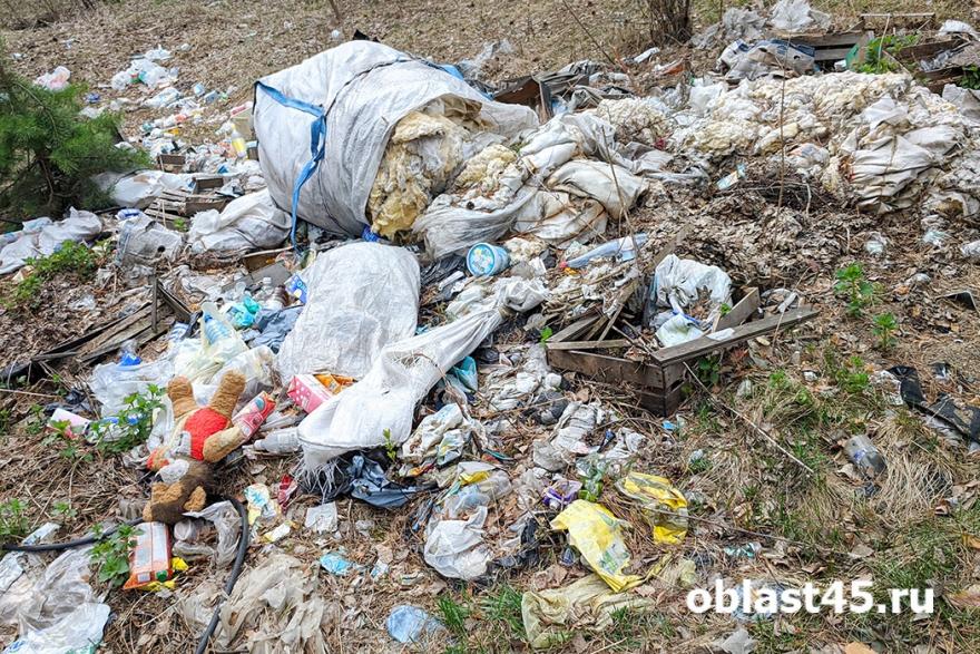 Шадринские экоактивисты убрали мусор в городском бору