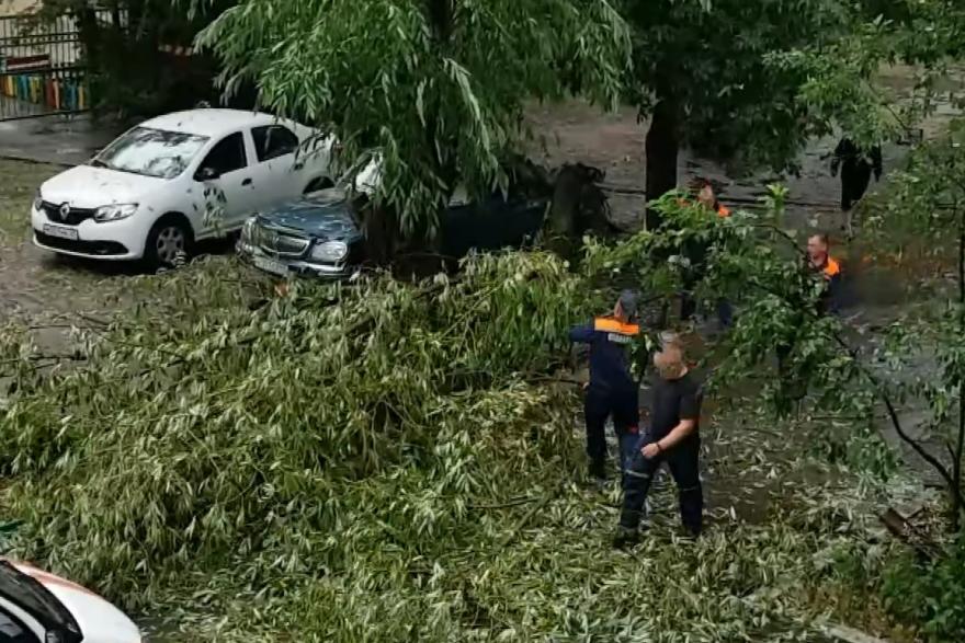 В центре Кургана дерево упало на припаркованный автомобиль