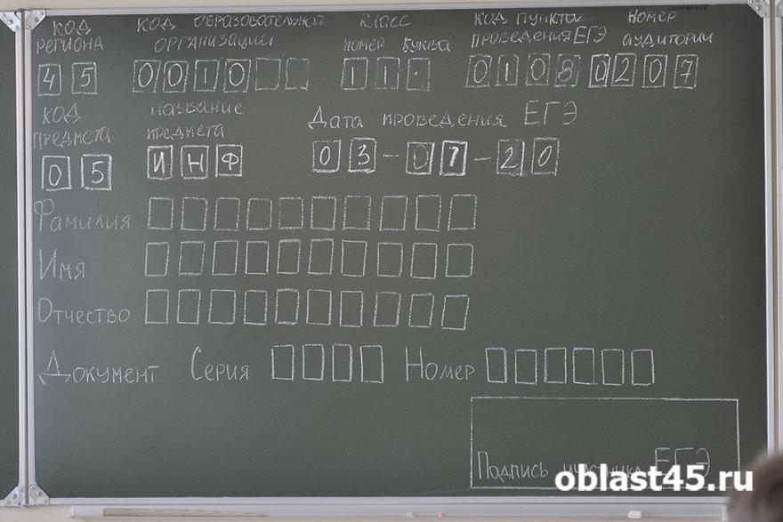 В Курганской области рекордное число школьников написали ЕГЭ по русскому языку на 100 баллов