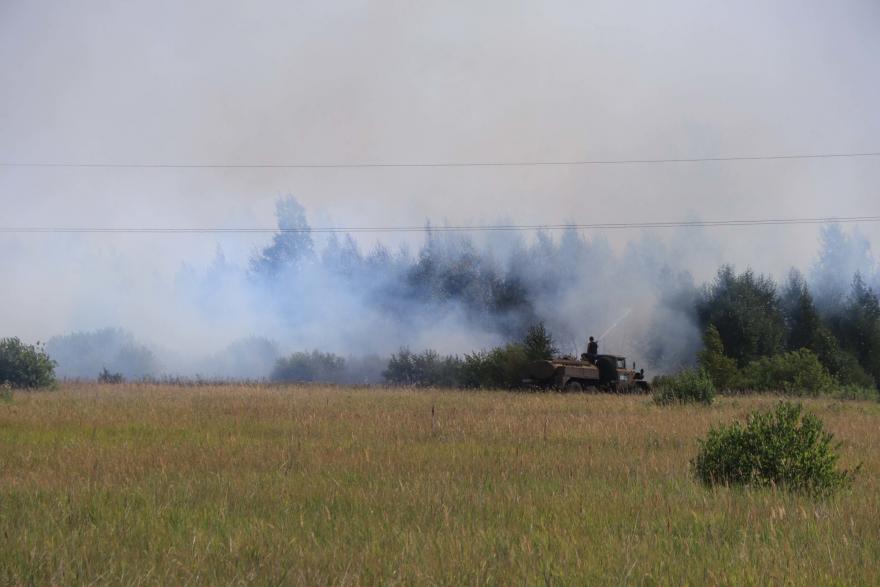 В одном из районов Зауралья сгорело 600 гектаров леса