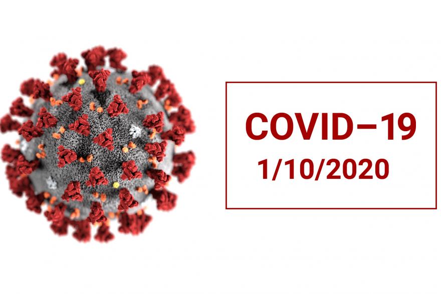 В Курганской области за сутки выявили больше 30 новых случаев коронавируса 