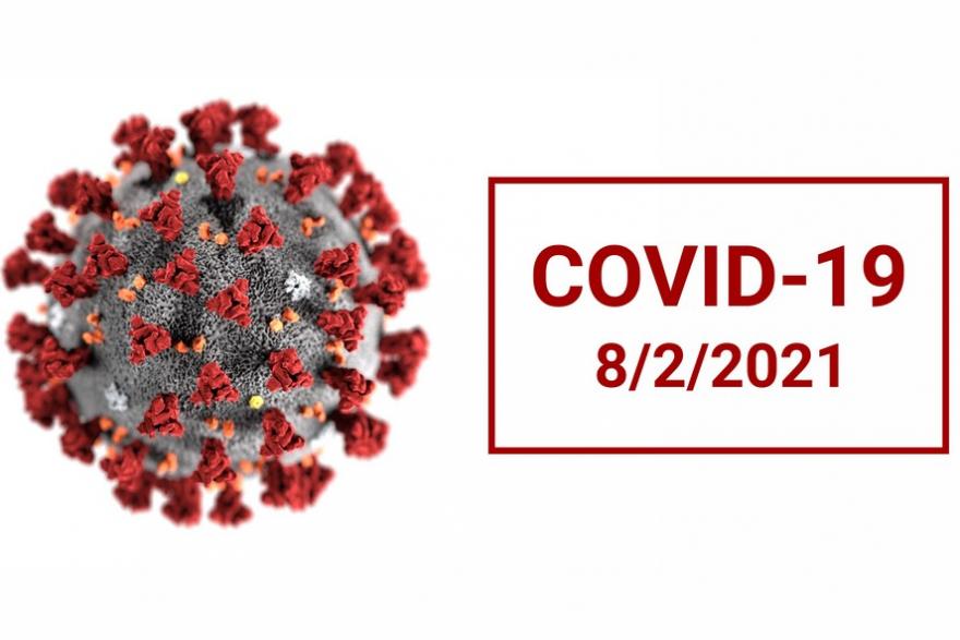 COVID-19 обнаружили в Кургане и 15 районах области