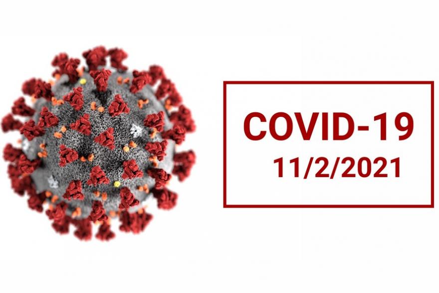 В Курганской области выписали 97 человек с диагнозом коронавирус 