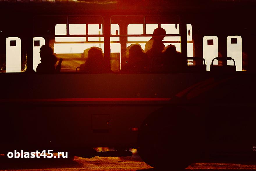 В автобусах Кургана появились объявления о скидках на проезд 