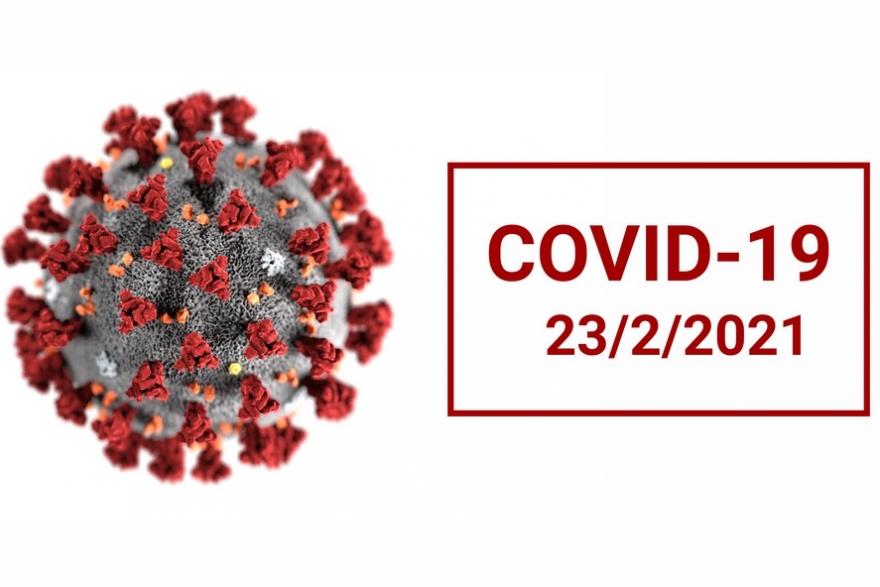 В Курганской области снижается число заразившихся коронавирусом