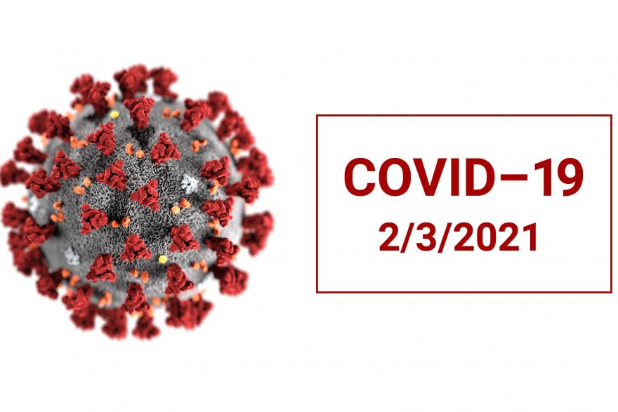 В Курганской области у 65 человек подтвердился диагноз коронавирус 