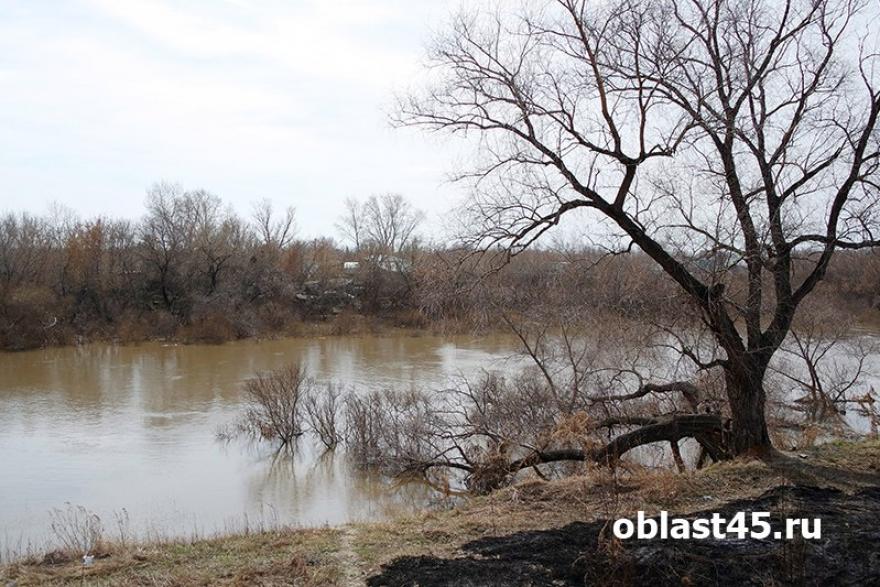 Уровень воды растёт во всех зауральских реках, кроме Тобола