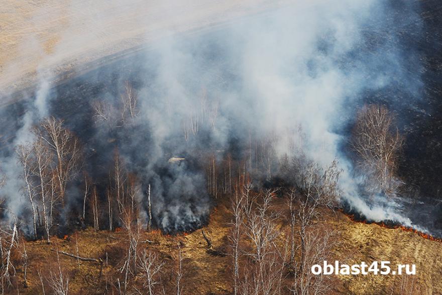 После большого лесного пожара в Курганской области возбудили уголовное дело