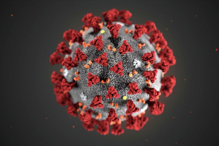 В организме человека найдены молекулы, которые защищают коронавирус от антител