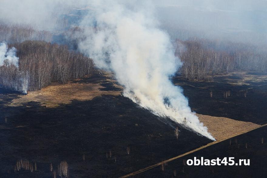 В МЧС Курганской области рассказали, куда звонить, если горит лес