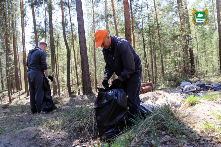 Курганцы очистили городской лес от мусора