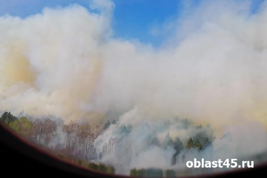 Курган и Шадринск заволокло дымом от лесных пожаров из других регионов