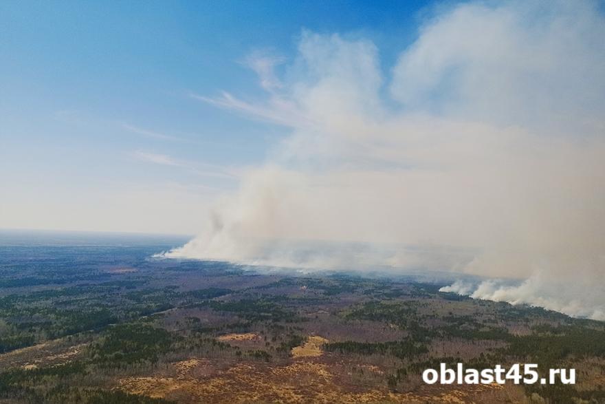 В окружном департаменте оценили ситуацию с лесными пожарами в Курганской области