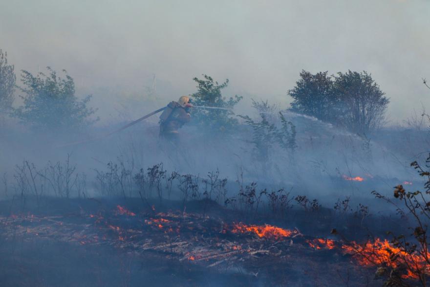 В Кургане более шести часов тушили пожар на заброшенной территории садового кооператива 