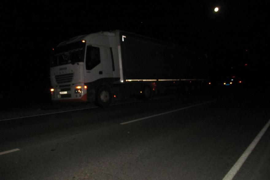 В Курганской области на трассе грузовик сбил ночного пешехода