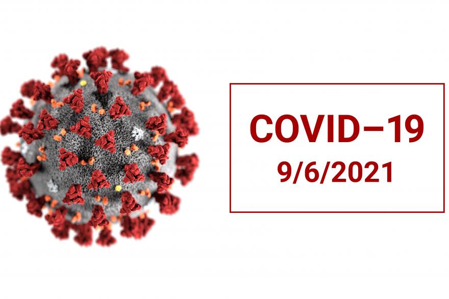  В Кургане и пяти районах области обнаружили новые случаи COVID-19 