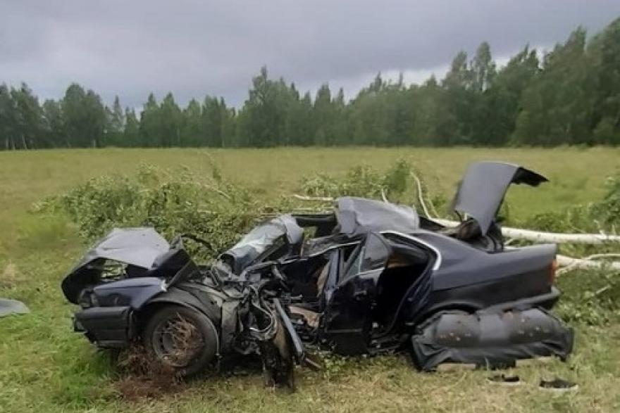 В Зауралье пьяный водитель разбил свой BMW о дерево