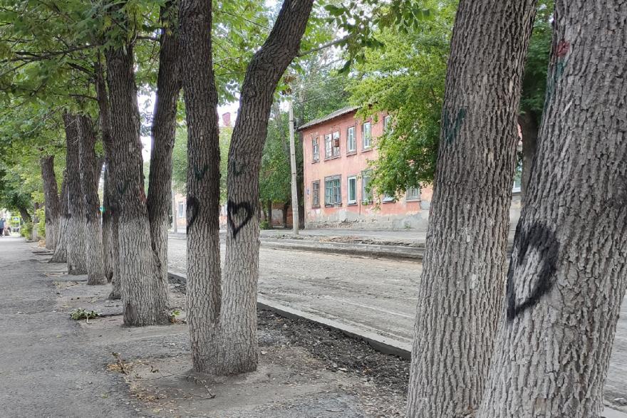 Курганцы опасаются, что улица Кирова останется без деревьев 