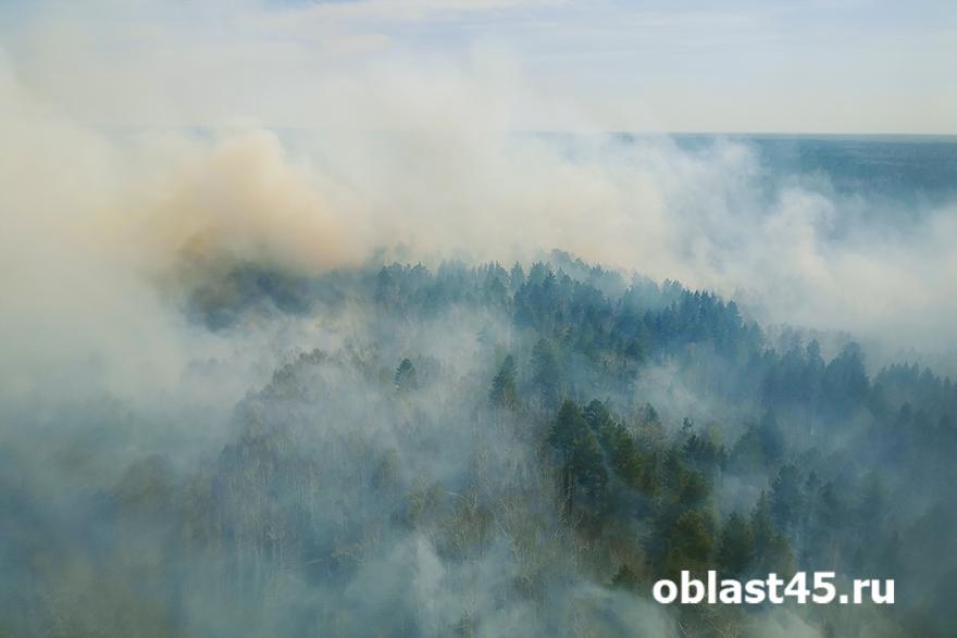 В Курганской области прогнозируют высокий риск лесных пожаров