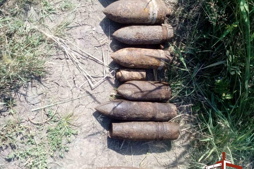 В Курганской области обезвредили боеприпасы, найденные на берегу озера