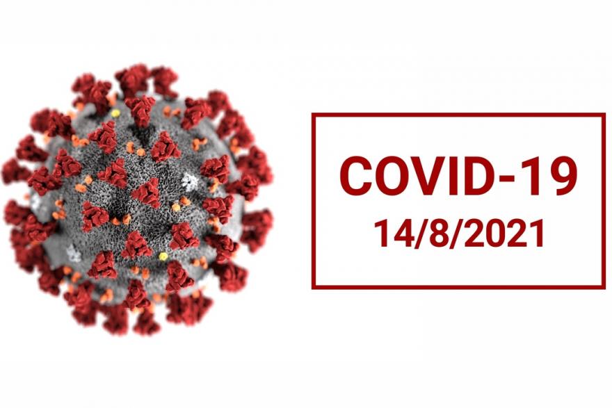 Новые случаи коронавируса выявили в Кургане, Шадринске и 16 районах области