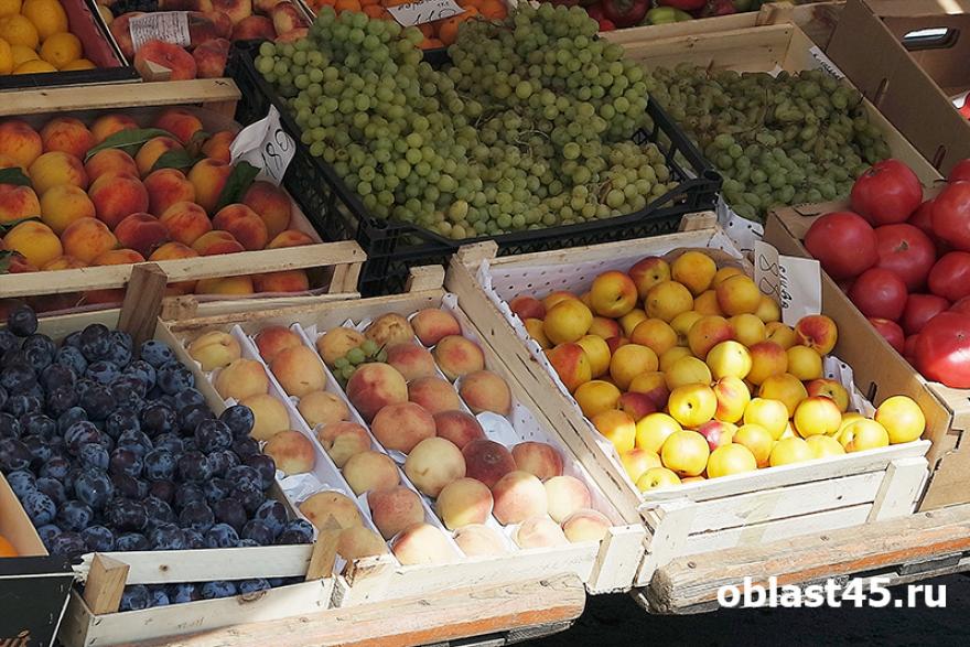 В Зауралье запретили к ввозу 80 тонн фруктов и овощей