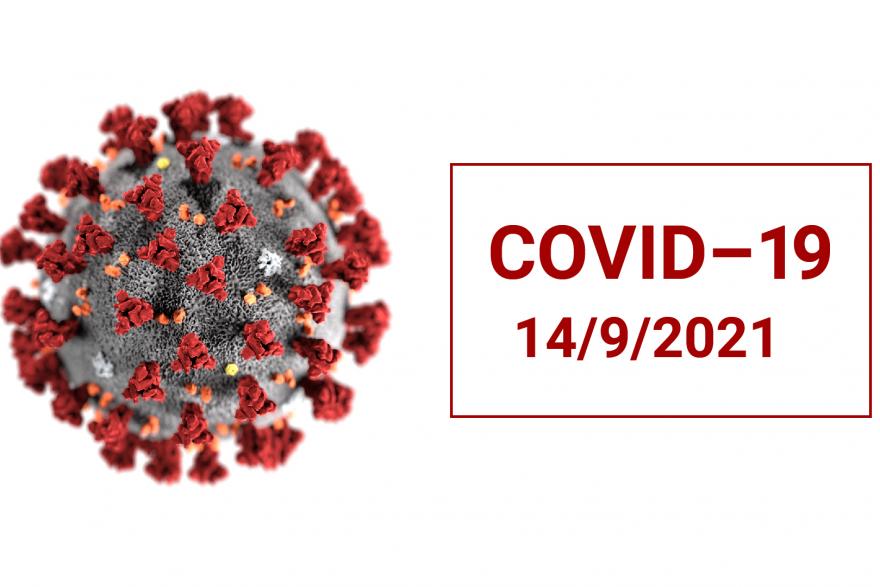 В Зауралье число выздоровевших за сутки превысило число заболевших COVID-19 