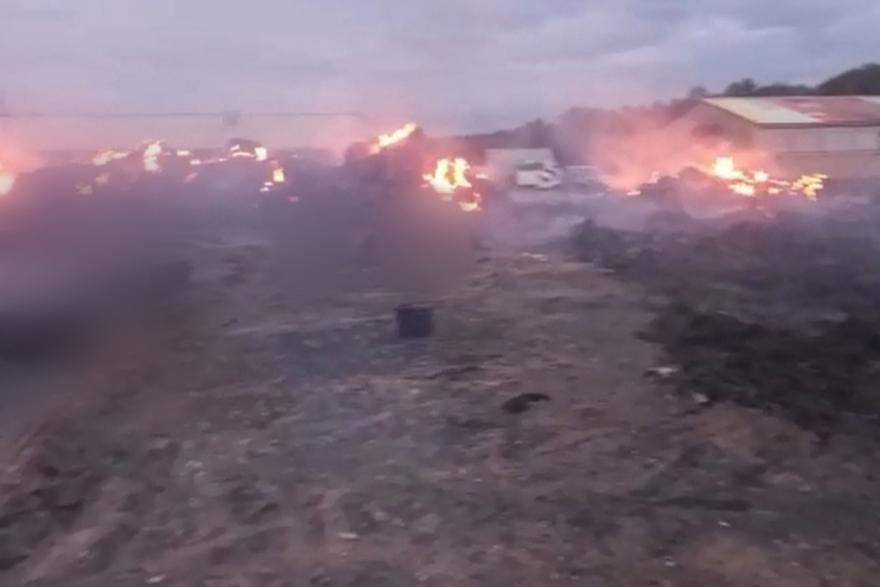 В Зауралье в пожаре на ферме погибли десятки животных 