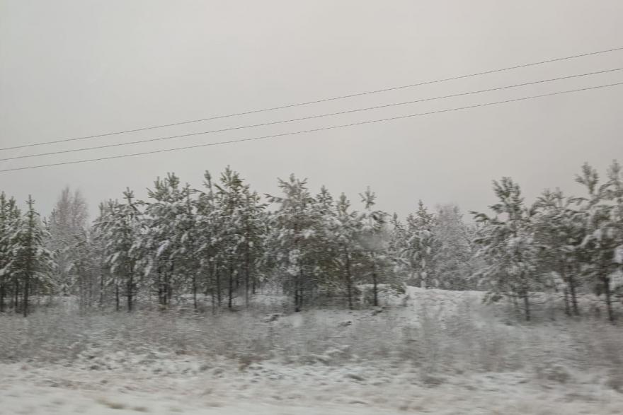 Снег, дождь и гололёд: в Курганской области резко испортилась погода