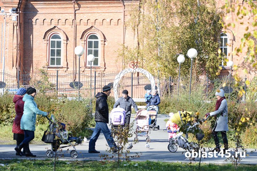 В России для многодетных предлагают сделать бесплатным проезд в транспорте