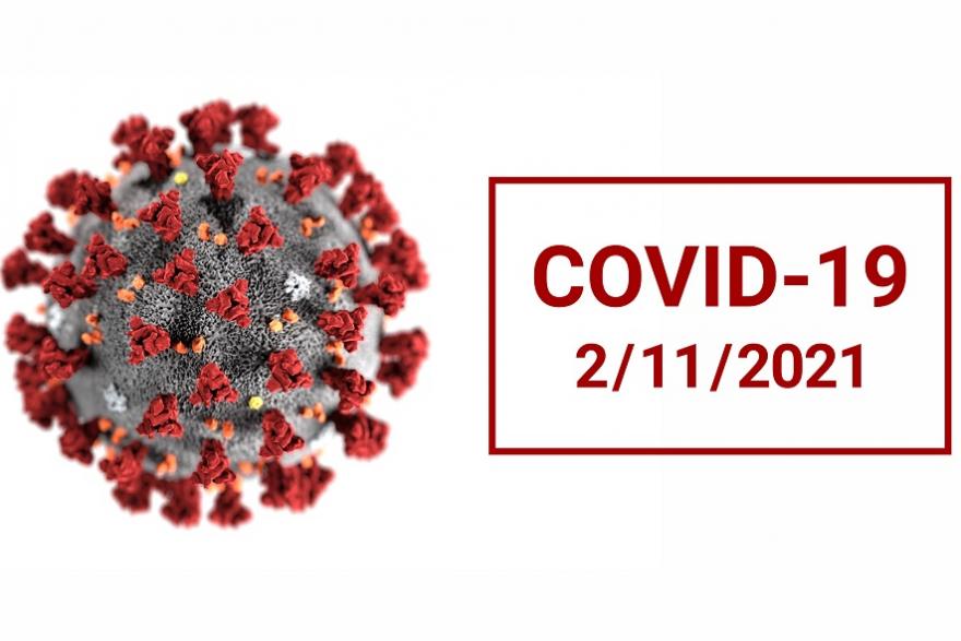 В Курганской области зафиксировали новый антирекорд по заболеваемости COVID-19