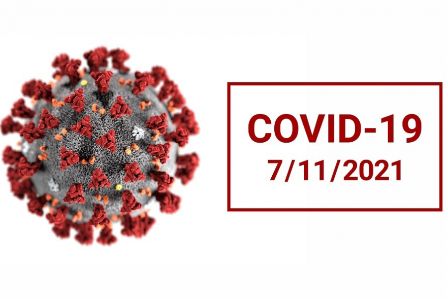 В Курганской области за сутки коронавирусом заболели 215 человек