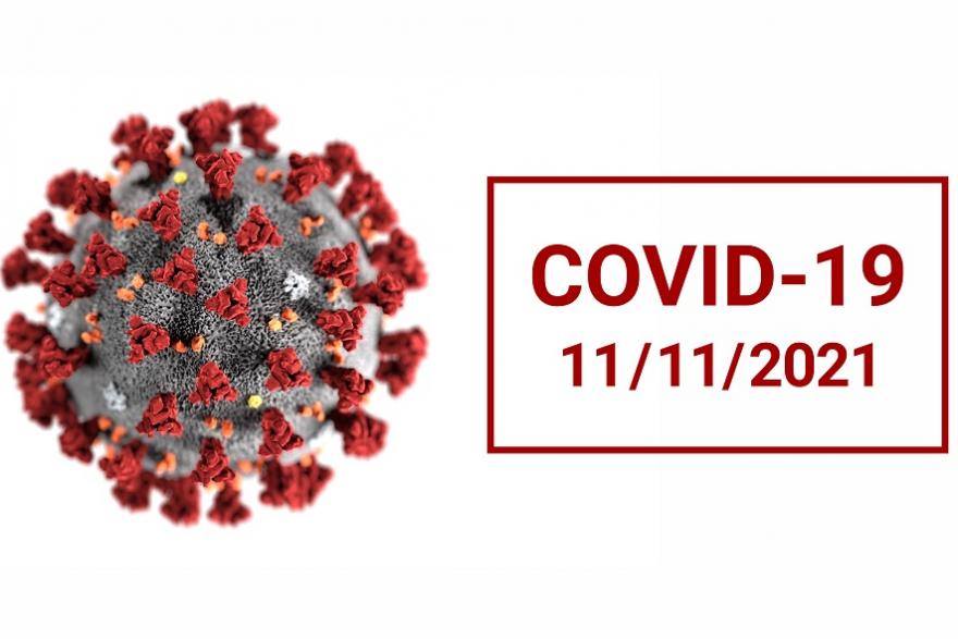 Новые случаи COVID-19 выявили в Кургане, Шадринске и 20 районах области