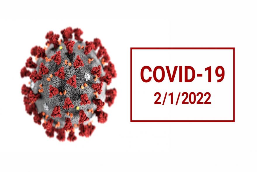 В Зауралье за сутки выявили 115 новых случаев COVID-19