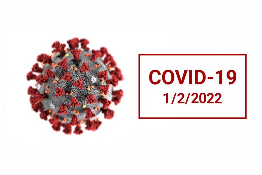 За сутки количество заболевших COVID-19 в Зауралье увеличилось на 56 человек