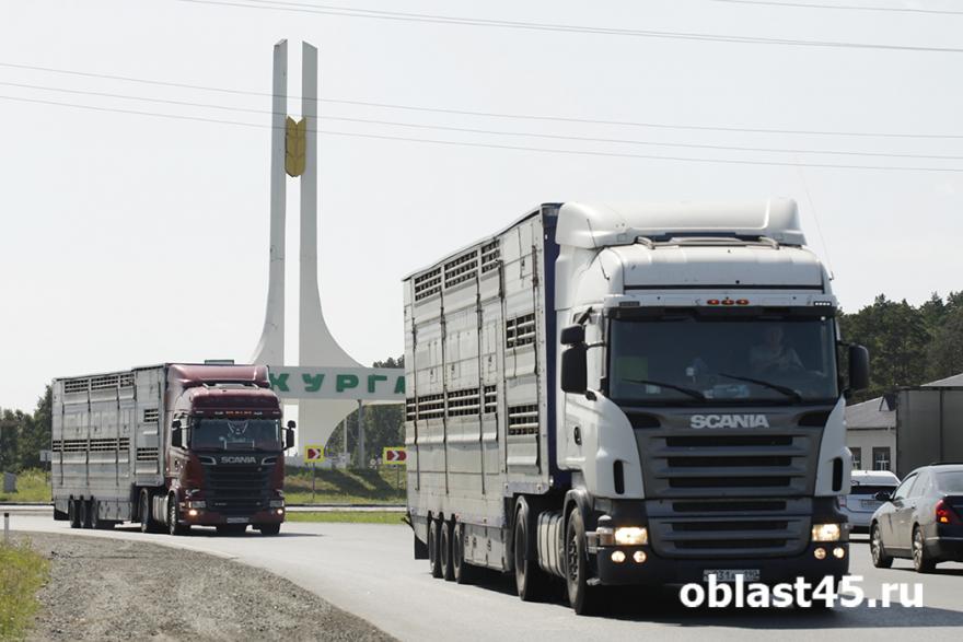 В России таможенная служба сможет самостоятельно досматривать грузовики
