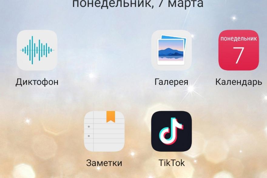 Соцсеть TikTok приостанавливает работу в России