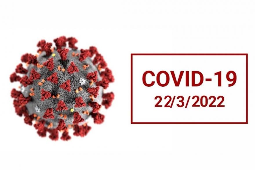 В Зауралье 257 новых случаев COVID-19