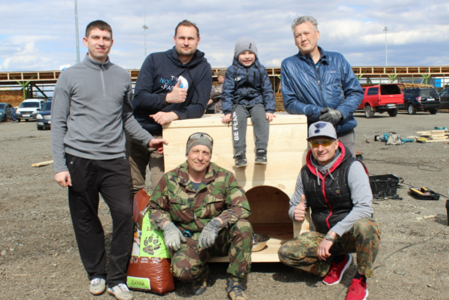 Сотрудники Сбера сколотили будки для бездомных собак