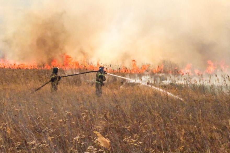 В Кургане сотрудники МЧС локализовали крупный ландшафтный пожар в Левашово