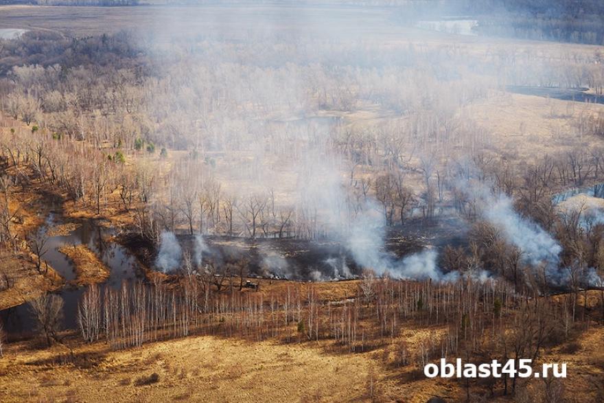 В Курганской области пожары тушат парашютисты 