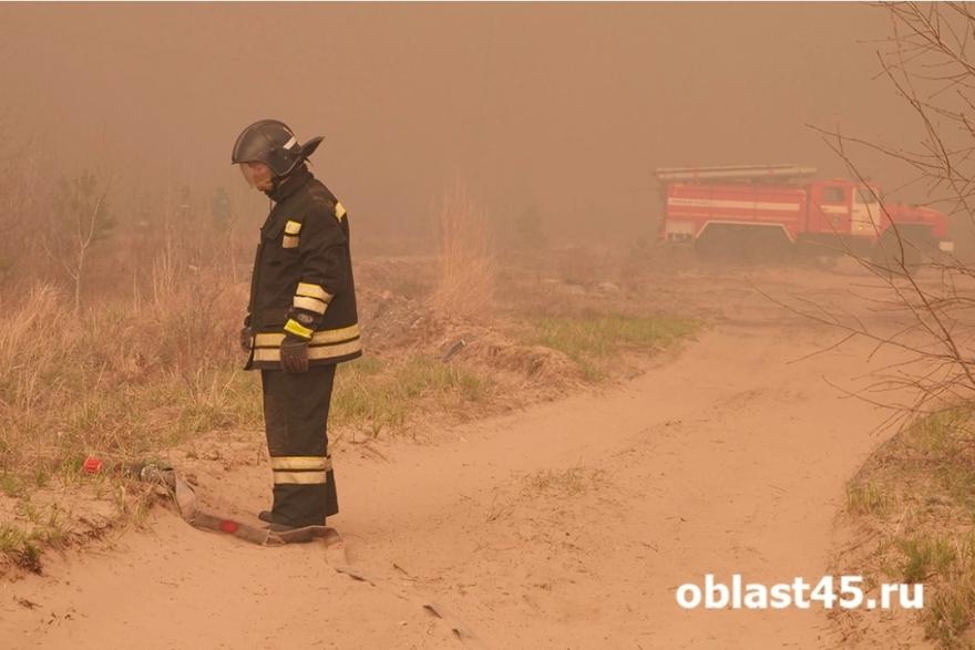 В Курганской области пожары тушат парашютисты из Коми и Карелии