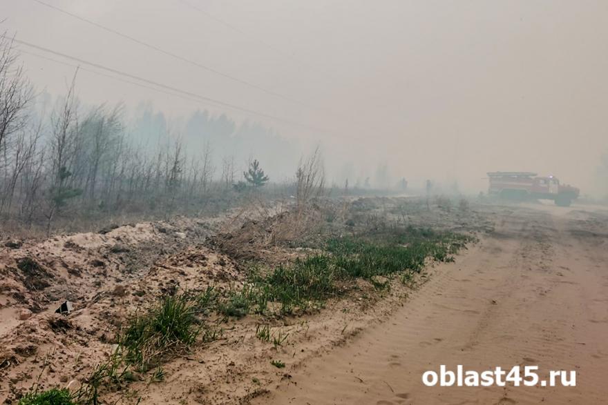 В Курганской области стабилизируется обстановка с природными пожарами