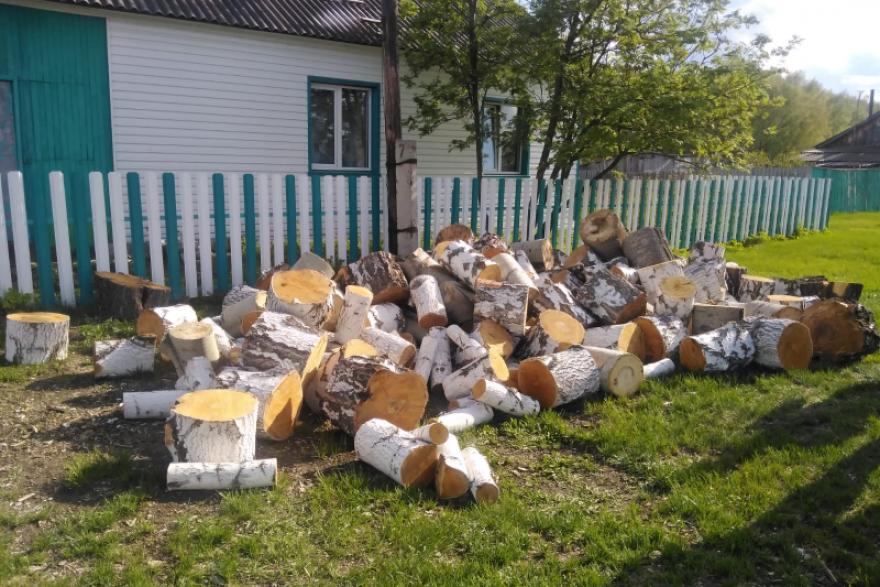 Жители Курганской области незаконно нарубили лес на 147 тысяч рублей