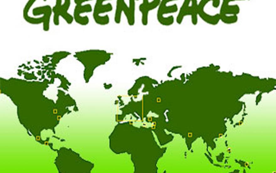 Greenpeace лишилась 3,8 млн евро из-за ошибки трейдера