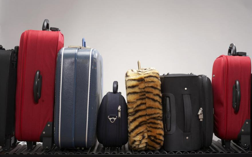 Госдума утвердила подорожание провоза багажа